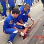 Thai senior crushed by truck