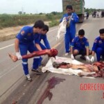 Thai senior crushed by truck