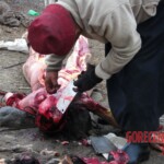 Traditional Tibetan sky burial