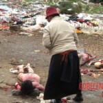 Traditional Tibetan sky burial