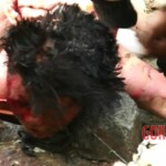 Traditional Tibetan sky burial