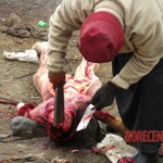 Traditional Tibetan sky burial