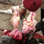 Traditional Tibetan sky burial