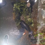 Unlit pedestrian hit and killed by car