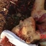 Victim of brutal rape