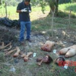 Women from Bodo community raped and dismembered by Muslims