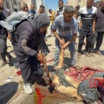 11 Hamas terrorists successfully eliminated by IDF