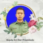 13 people torn to pieces in explosion of expired ammunition