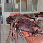 13 people torn to pieces in explosion of expired ammunition