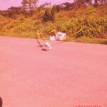 Mitzi Joy Cardenes Balunsay