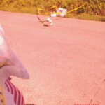 Mitzi Joy Cardenes Balunsay