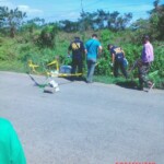 Mitzi Joy Cardenes Balunsay