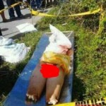 Mitzi Joy Cardenes Balunsay