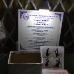 Mitzi Joy Cardenes Balunsay