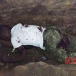 Aftermath of ISIS attack on military base in Mozambique