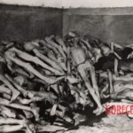 Authentic photos from Nazi concentration camp Dachau