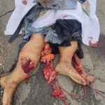 Cambodian motorcyclist crushed to death