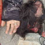 Cambodian motorcyclist crushed to death