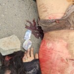 Cambodian motorcyclist crushed to death