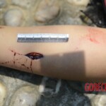 Chinese woman stabbed to death in city park