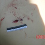 Chinese woman stabbed to death in city park