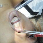 Chinese woman stabbed to death in city park