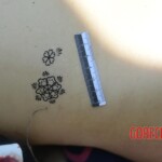 Chinese woman stabbed to death in city park