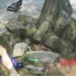 Chinese woman stabbed to death in city park