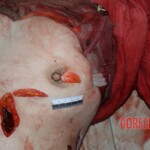 Chinese woman stabbed to death inside restaurant