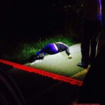 Decapitated Filipina found dumped by roadside