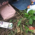 Executed couple found dumped by roadside