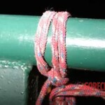 Gabriela Elizabeth Muñiz Tamez