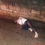 Maria Remedios Terrado Pedrano