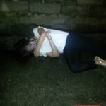 Maria Remedios Terrado Pedrano