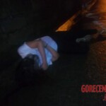 Maria Remedios Terrado Pedrano