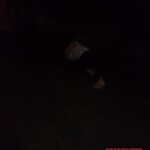 Maria Remedios Terrado Pedrano