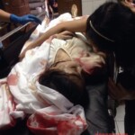 Maria Remedios Terrado Pedrano