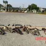 Indian retaliatory strike leaves several Pakistani soldiers dead