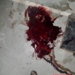 Indian student committed suicide by jumping from 4th floor