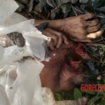 Indonesian woman torn apart by train