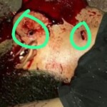 Man murdered by several gunshots to head in Manaus