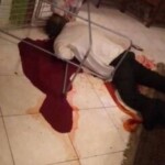 Murder of prominent Iranian filmmaker and his wife