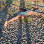 Mutilated corpse of woman found on railway tracks