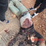 Photos of dead Druze fighters killed by Bedouin Sunni militants