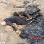 Photos of dead Druze fighters killed by Bedouin Sunni militants