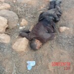 Photos of dead Druze fighters killed by Bedouin Sunni militants