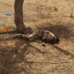 Terrorists attacked and killed several Nigerien soldiers