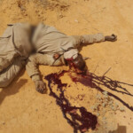 Terrorists attacked and killed several Nigerien soldiers