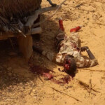 Terrorists attacked and killed several Nigerien soldiers