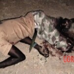 Terrorists from ISIS killed several Nigerian soldiers